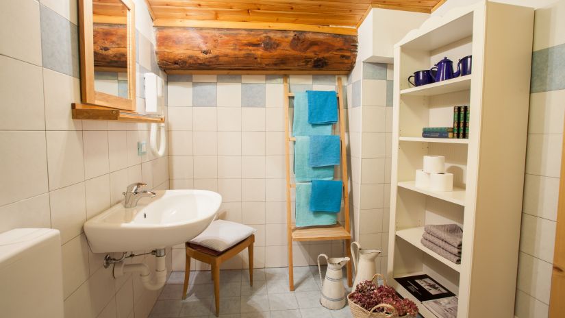 standard room's bathroom